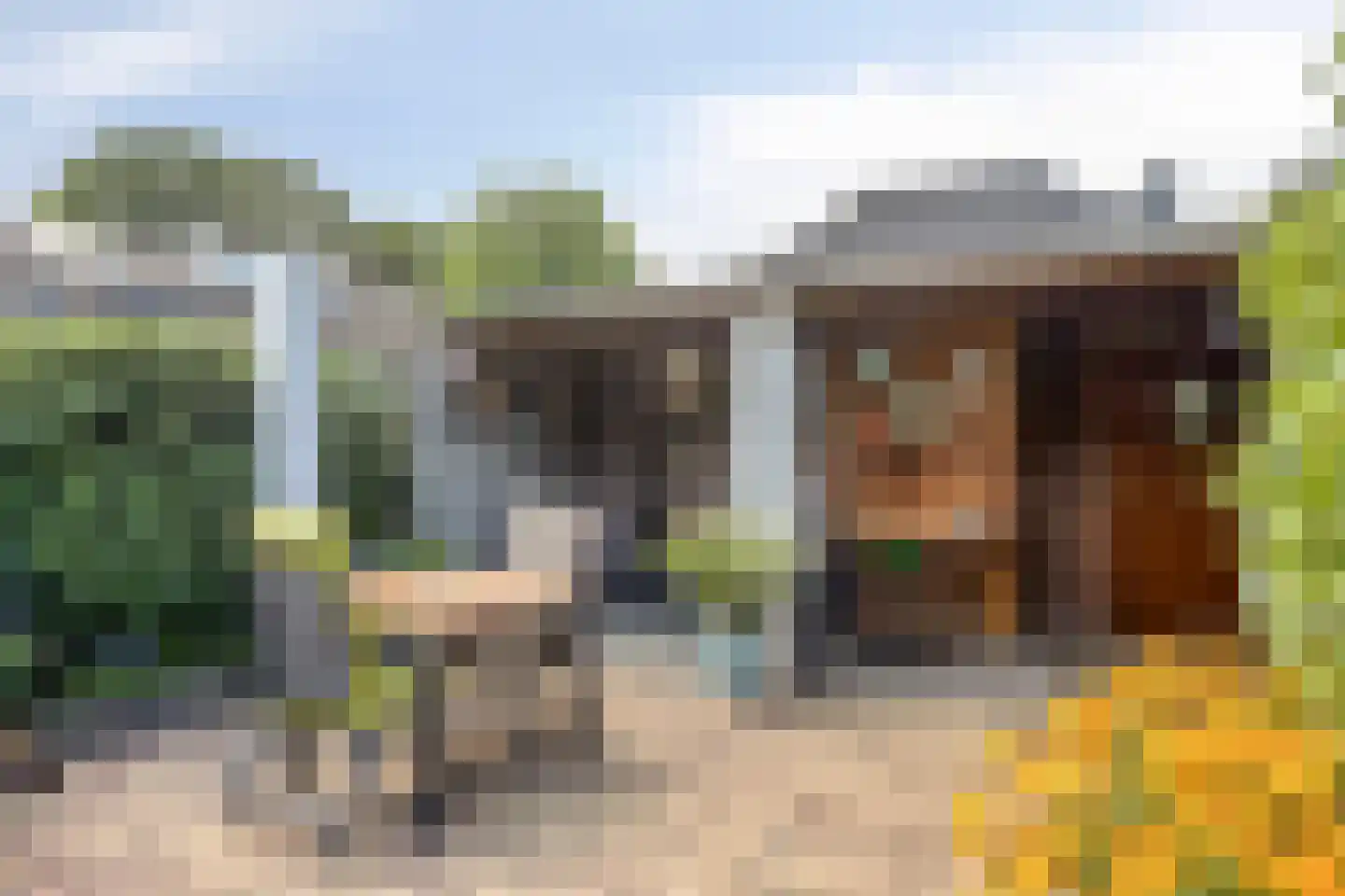 Lod.Napoleonstraat 4 Grave thumbnail 30