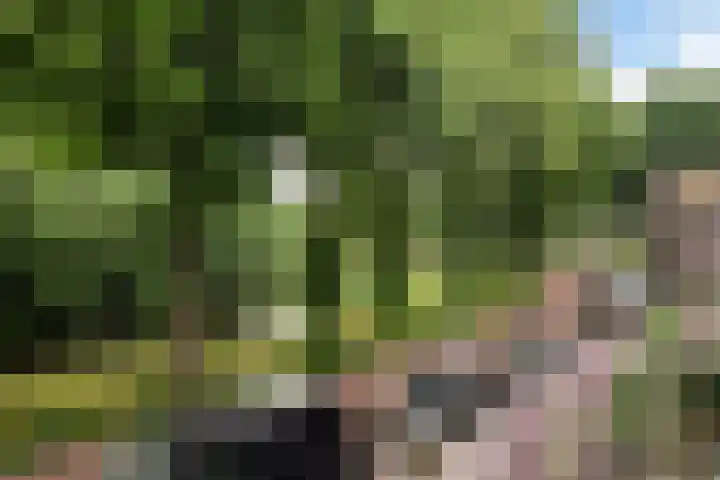 Loddero 2 d Doesburg thumbnail 16