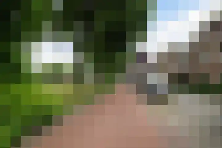 Loddero 2 d Doesburg thumbnail 19