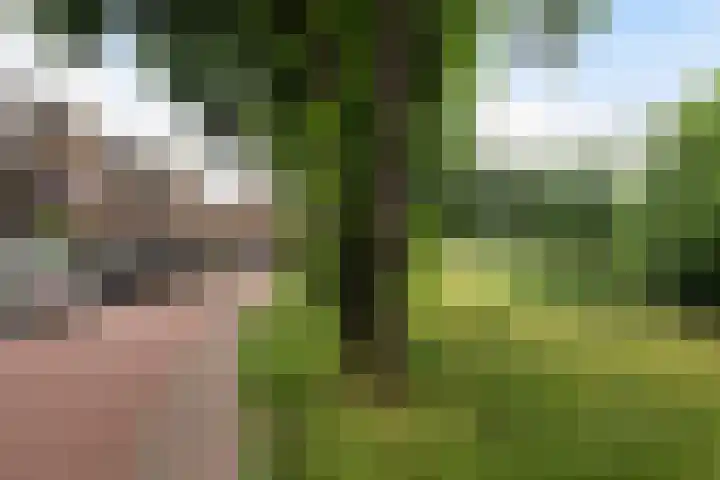 Loddero 2 d Doesburg thumbnail 20