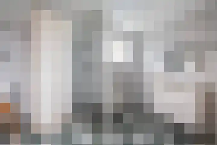 Loddero 2 d Doesburg thumbnail 4