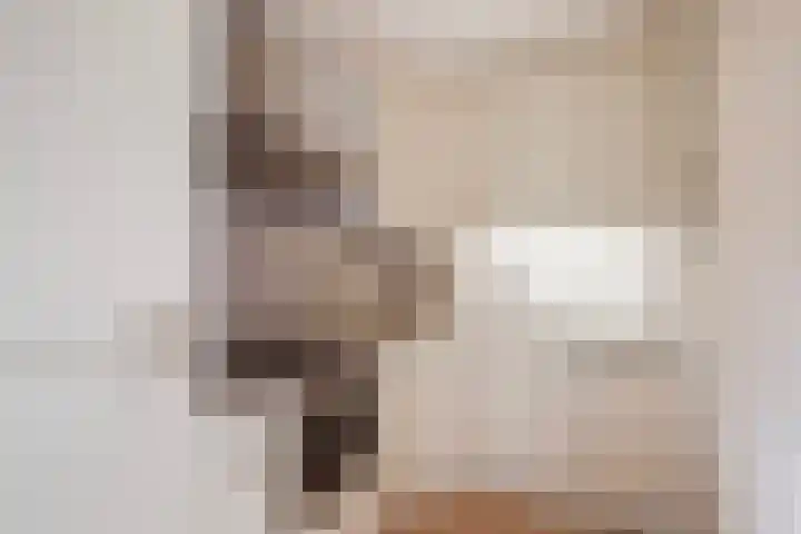 Loddero 2 d Doesburg thumbnail 5