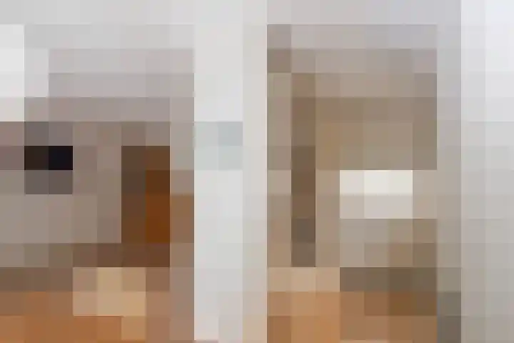 Loddero 2 d Doesburg thumbnail 6