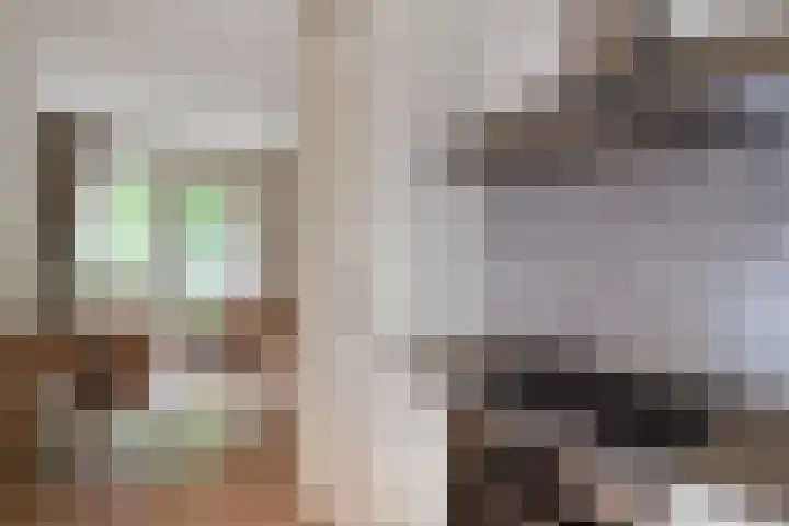 Loddero 2 d Doesburg thumbnail 8