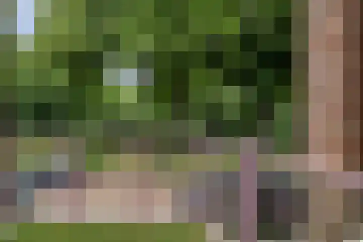 Loddero 2 d Doesburg thumbnail 9