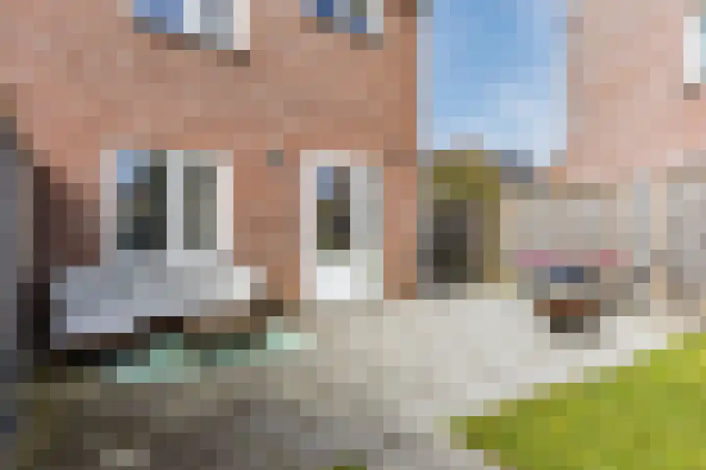 Loddersweer 25 Raamsdonksveer thumbnail 37