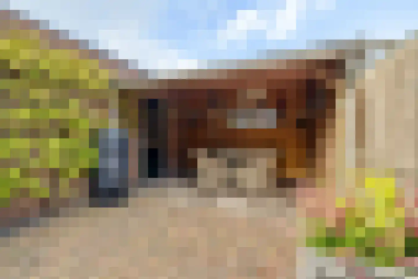 Loddersweer 42 Raamsdonksveer thumbnail 49