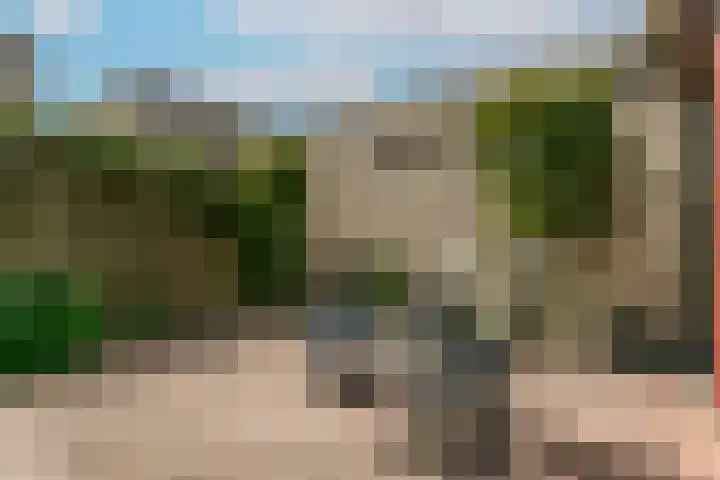 Lode Zielenshove 11 Nieuwegein thumbnail 12