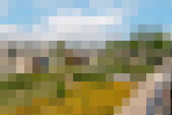 Lode Zielenshove 11 Nieuwegein thumbnail 24