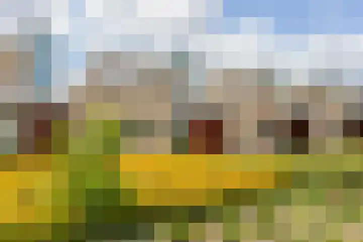 Lode Zielenshove 11 Nieuwegein thumbnail 33