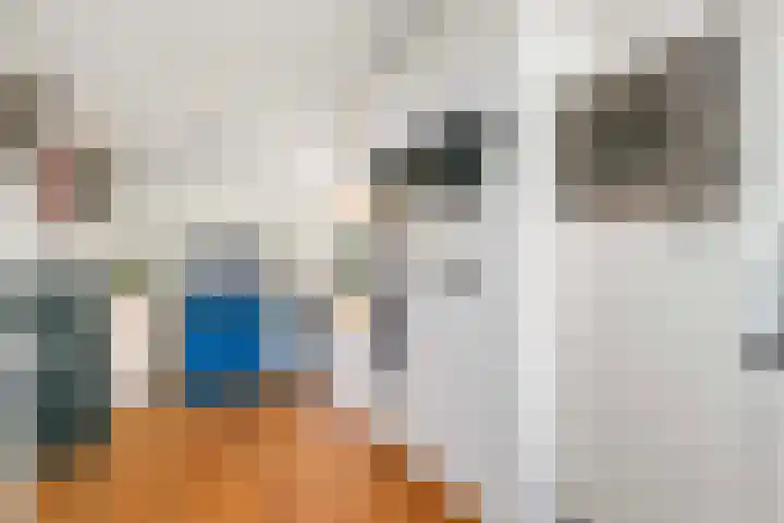 Lode Zielenshove 11 Nieuwegein thumbnail 8