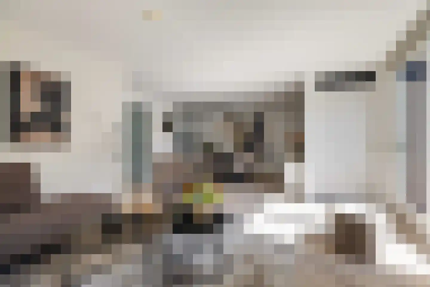 Lode Zielenshove 15 Nieuwegein thumbnail 10