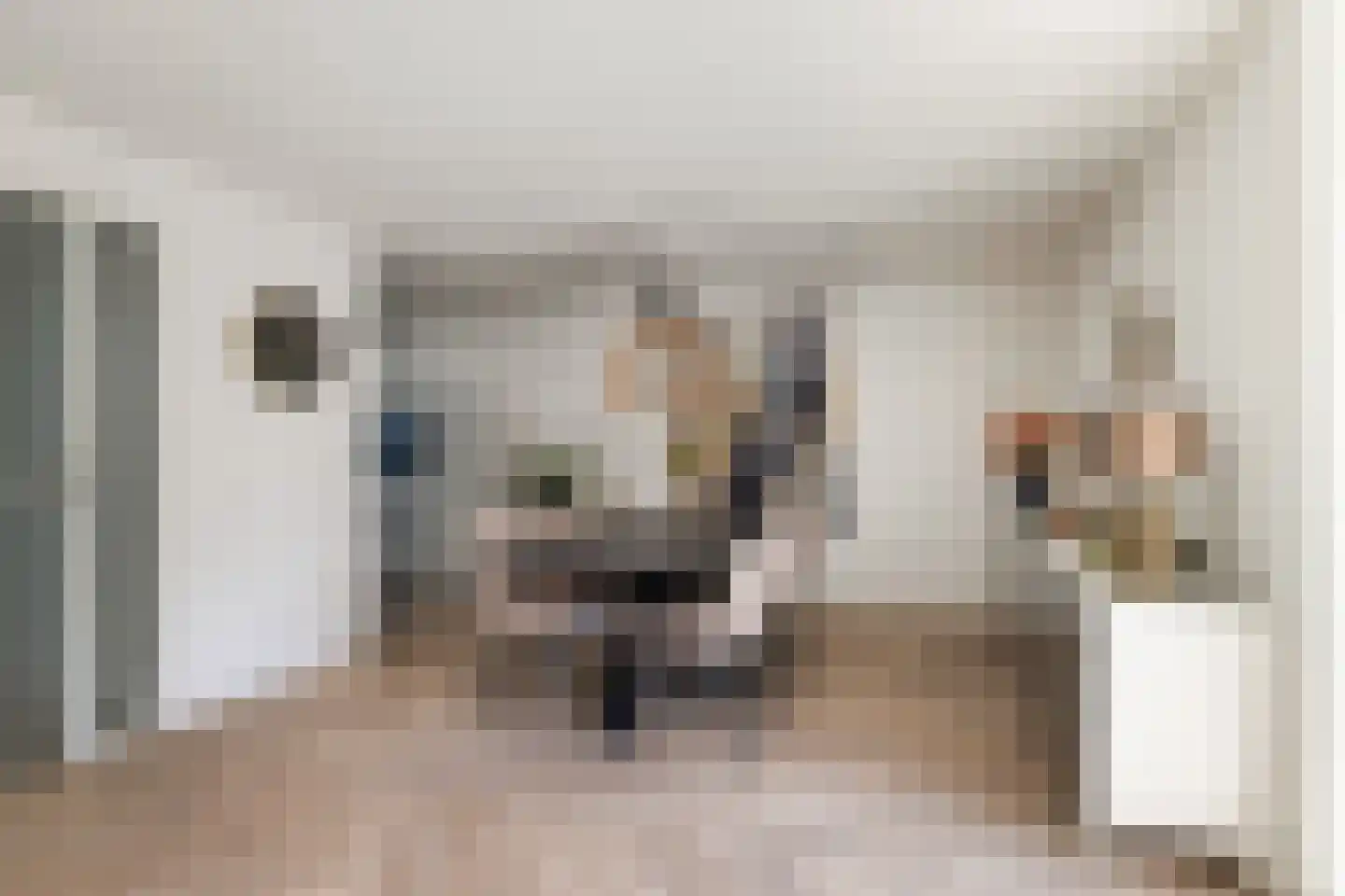 Lode Zielenshove 15 Nieuwegein thumbnail 12