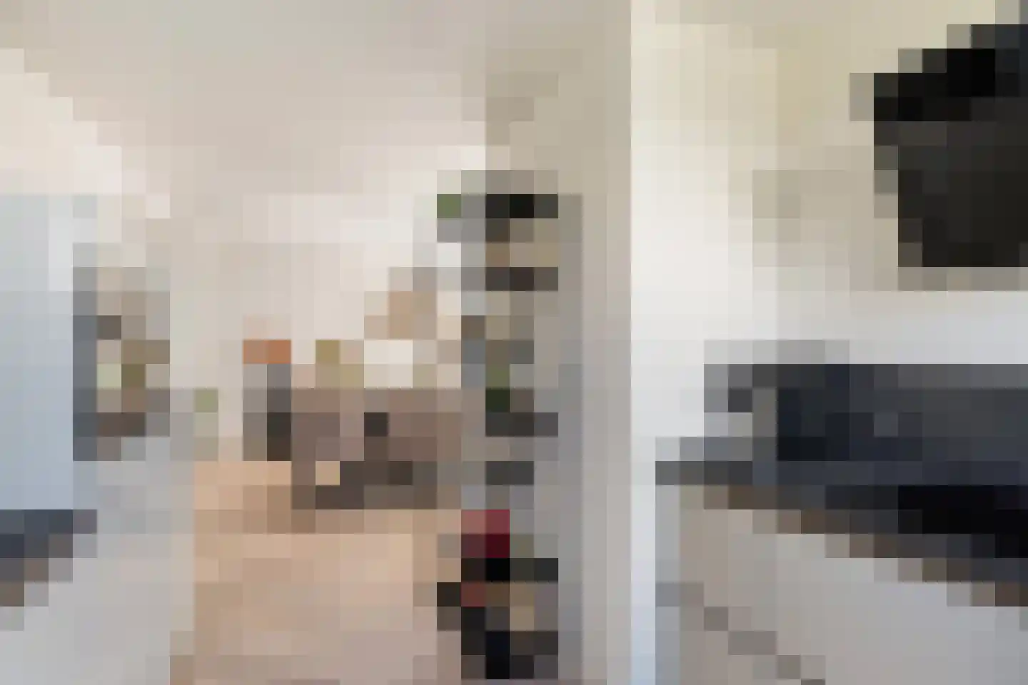 Lode Zielenshove 15 Nieuwegein thumbnail 17