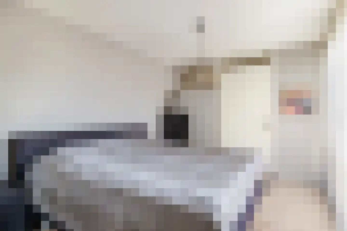 Lode Zielenshove 15 Nieuwegein thumbnail 21