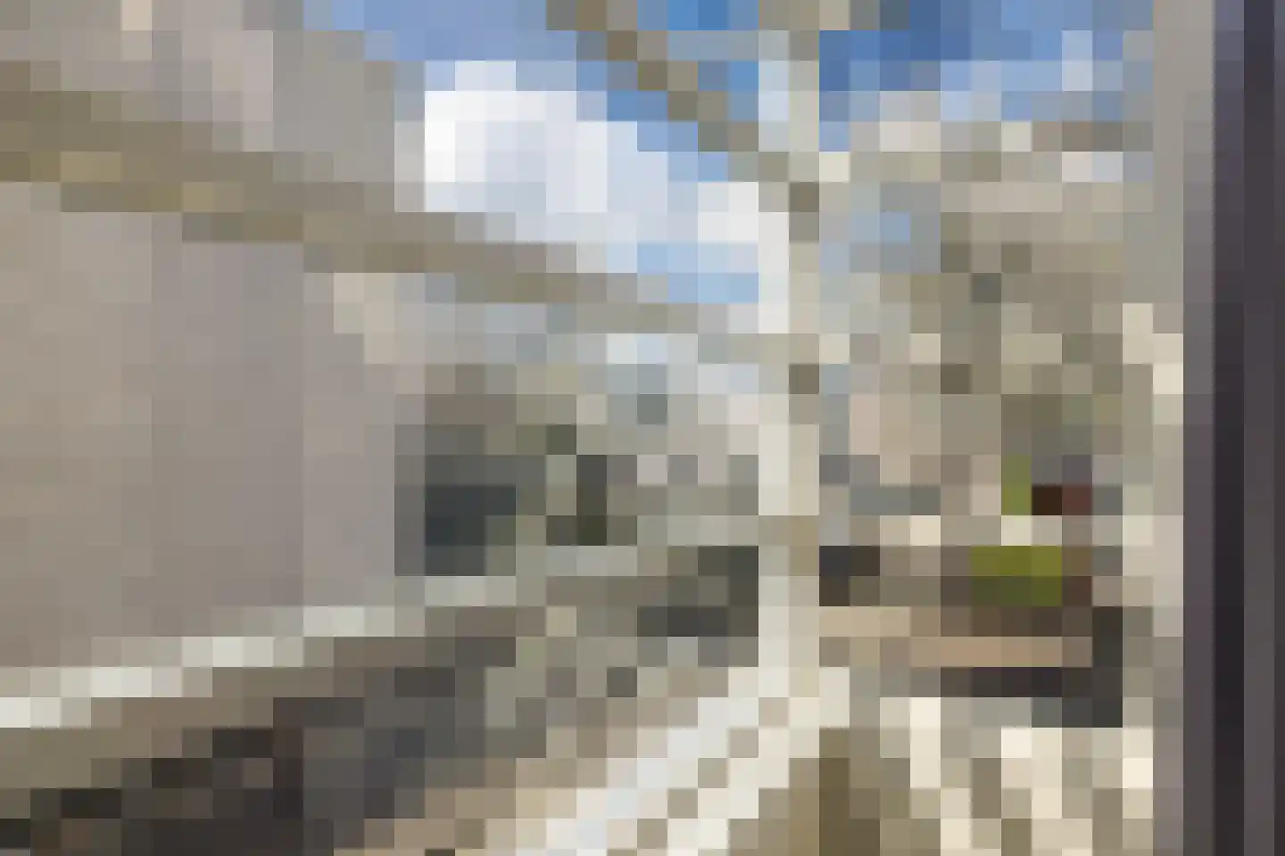 Lode Zielenshove 15 Nieuwegein thumbnail 31