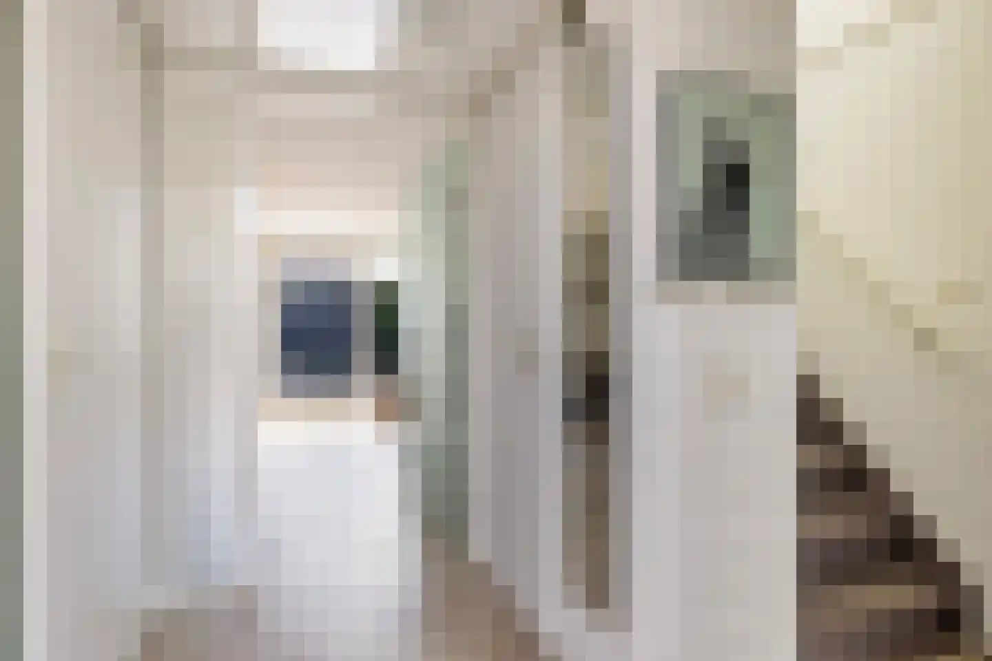 Lode Zielenshove 15 Nieuwegein thumbnail 6