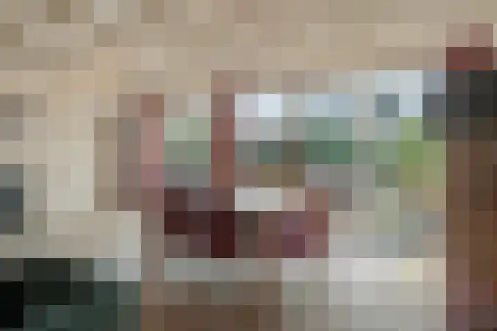 Lodeizenstraat 9 Rosmalen thumbnail 10