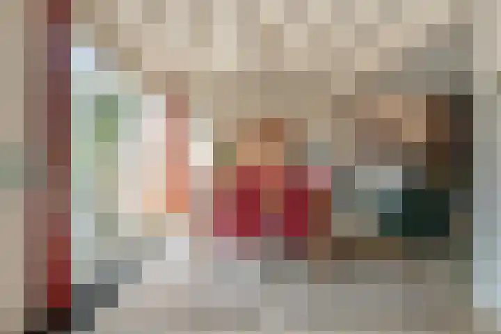Lodeizenstraat 9 Rosmalen thumbnail 12