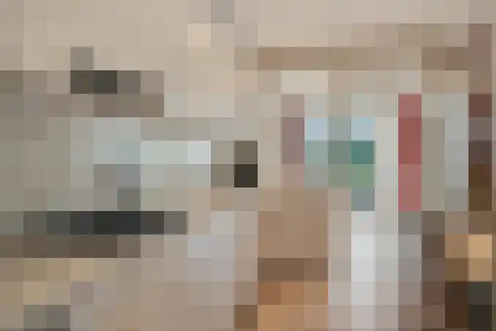 Lodeizenstraat 9 Rosmalen thumbnail 15