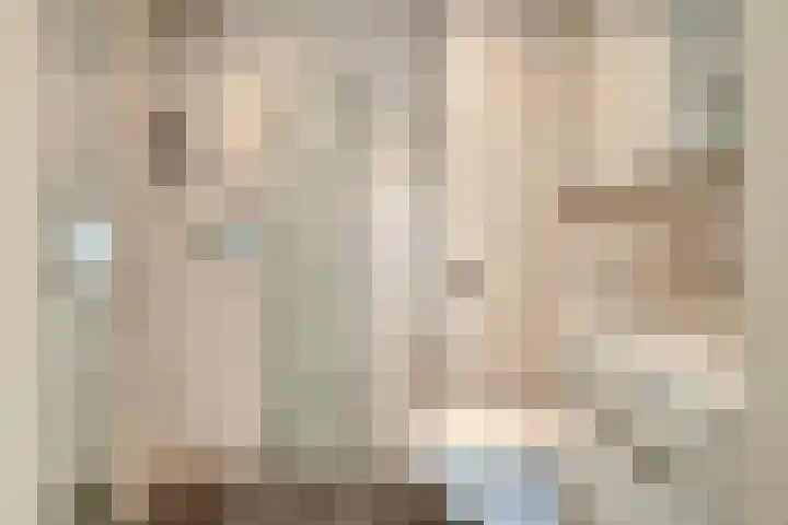 Lodeizenstraat 9 Rosmalen thumbnail 20