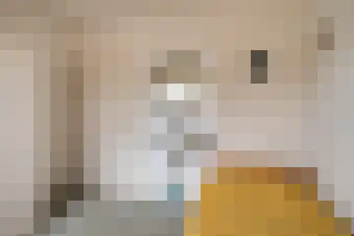 Lodeizenstraat 9 Rosmalen thumbnail 23