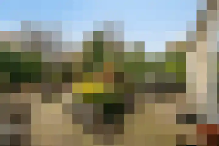 Lodeizenstraat 9 Rosmalen thumbnail 30