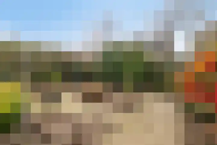 Lodeizenstraat 9 Rosmalen thumbnail 31