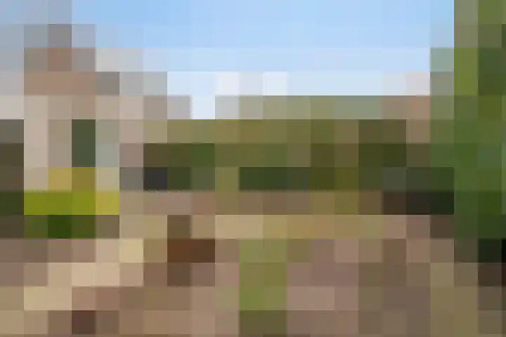 Lodeizenstraat 9 Rosmalen thumbnail 32