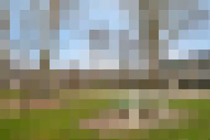 Lodeizenstraat 9 Rosmalen thumbnail 35