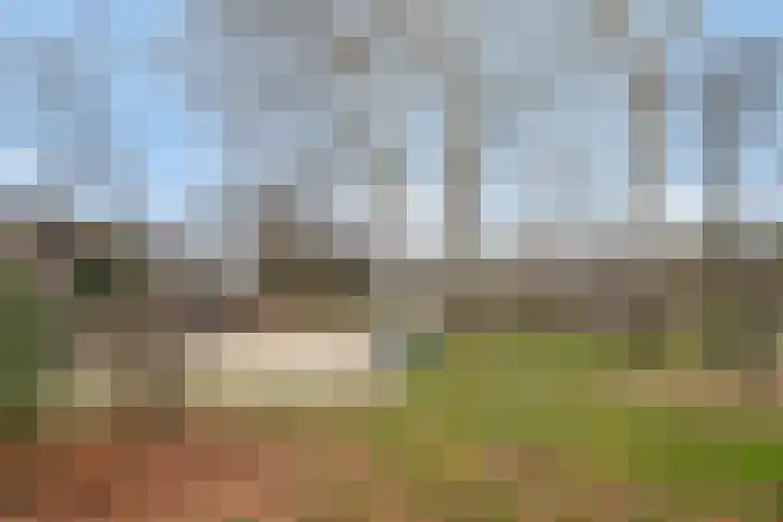 Lodeizenstraat 9 Rosmalen thumbnail 36