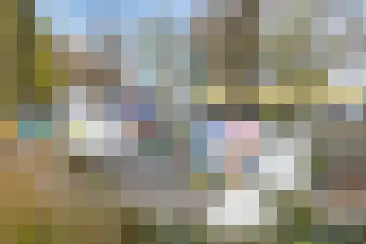 Lodeizenstraat 9 Rosmalen thumbnail 37