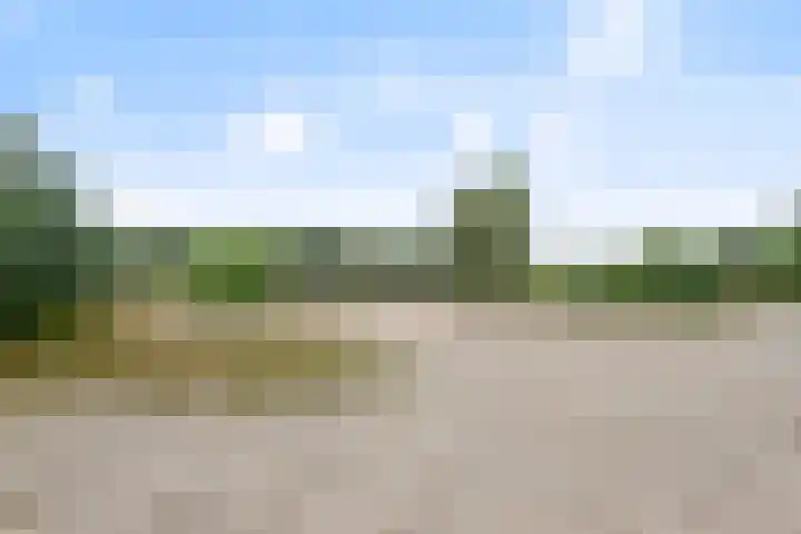 Lodeizenstraat 9 Rosmalen thumbnail 39