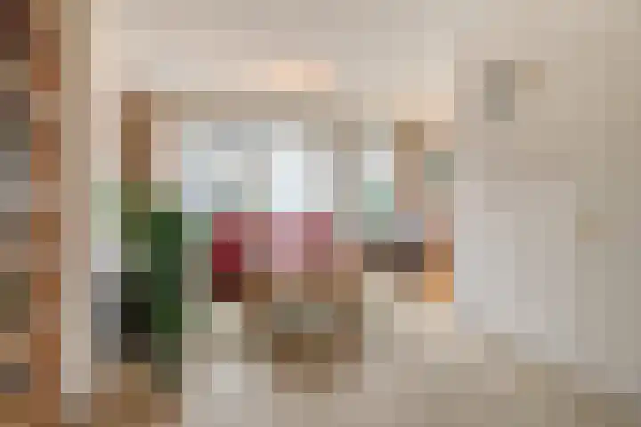 Lodeizenstraat 9 Rosmalen thumbnail 4
