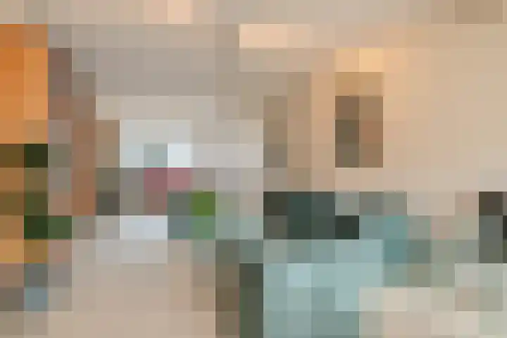 Lodeizenstraat 9 Rosmalen thumbnail 9