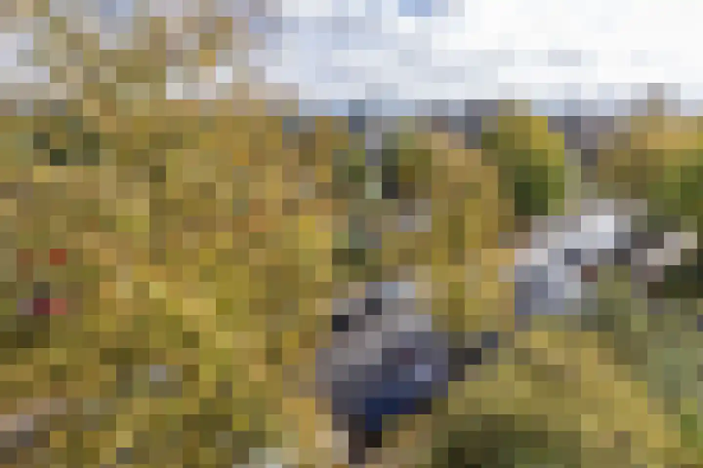 Loderlaan 15 Utrecht thumbnail 11
