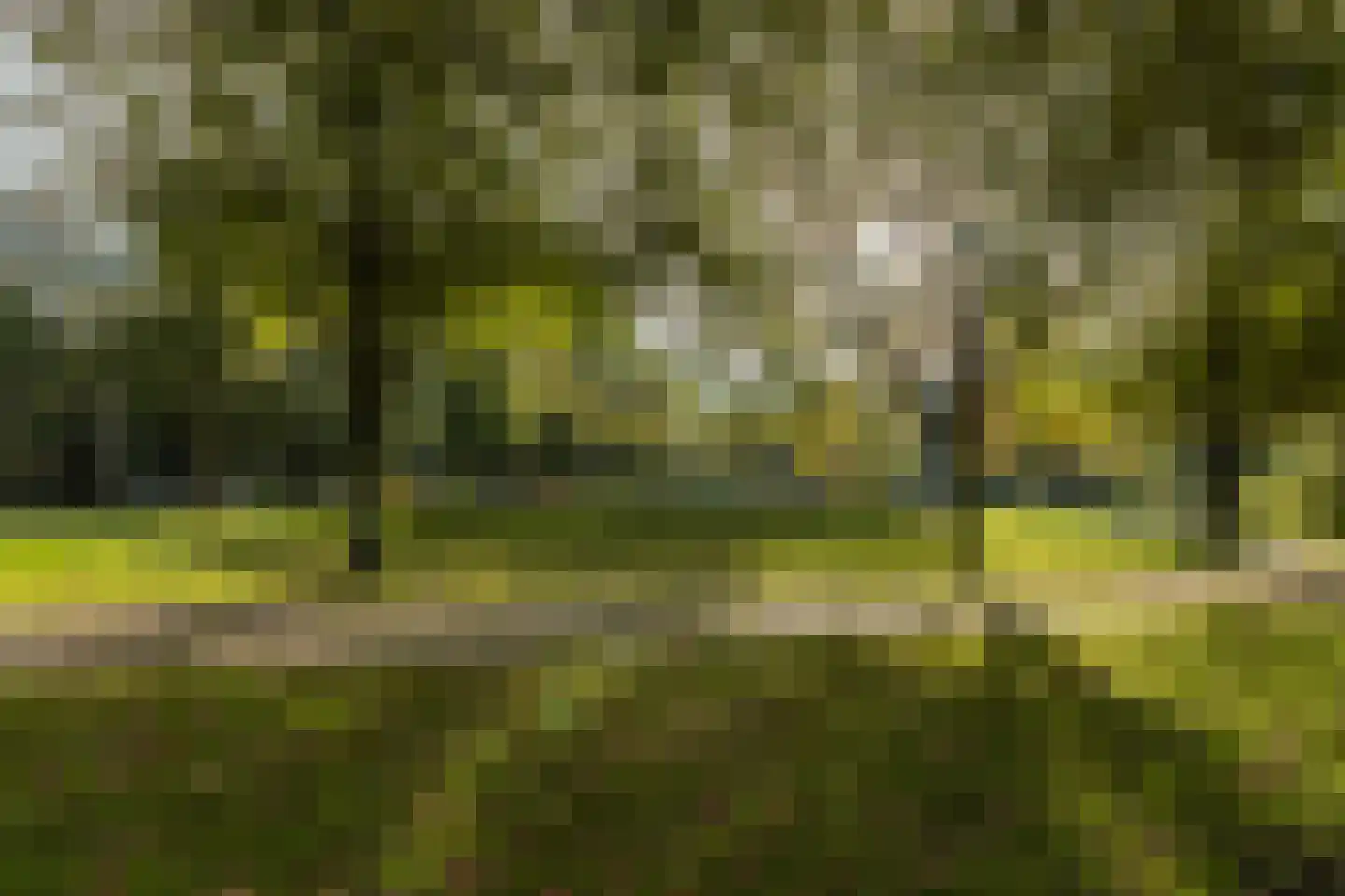 Loderlaan 15 Utrecht thumbnail 36