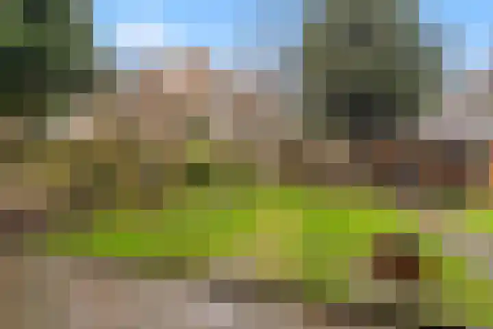 Loderlaan 77 Utrecht thumbnail 17