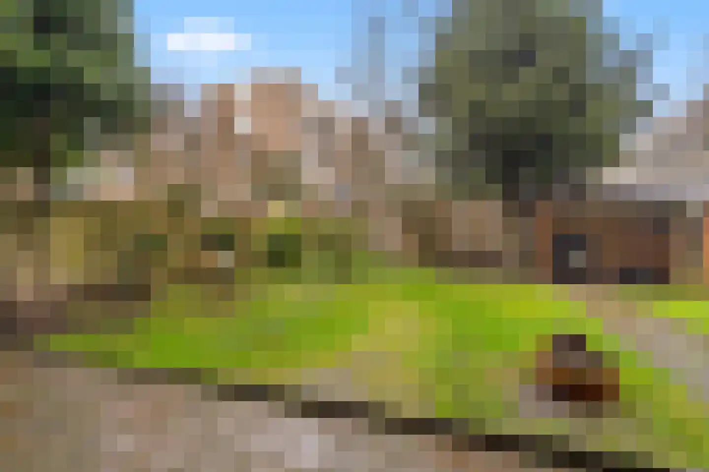 Loderlaan 77 Utrecht thumbnail 17
