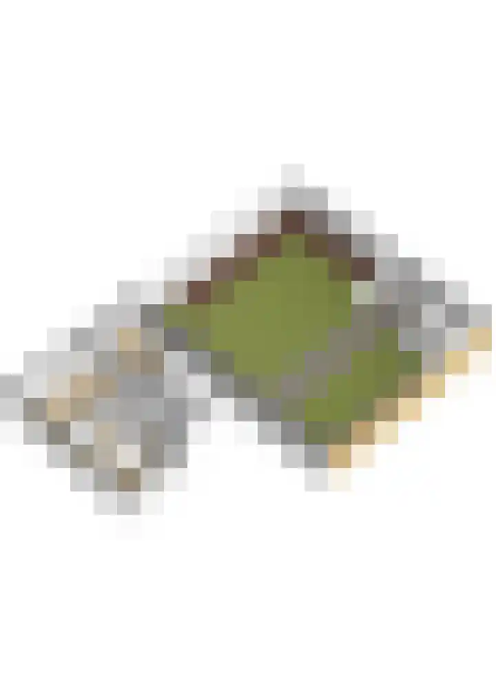 Loderlaan 77 Utrecht thumbnail 32