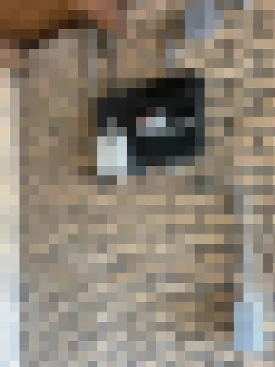 Lodesteijnstraat 13 Wassenaar thumbnail 5