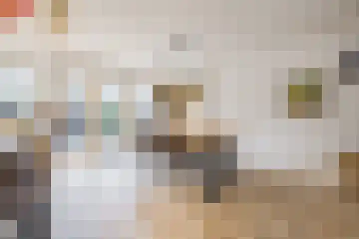 Lodesteijnstraat 19 Wassenaar thumbnail 8