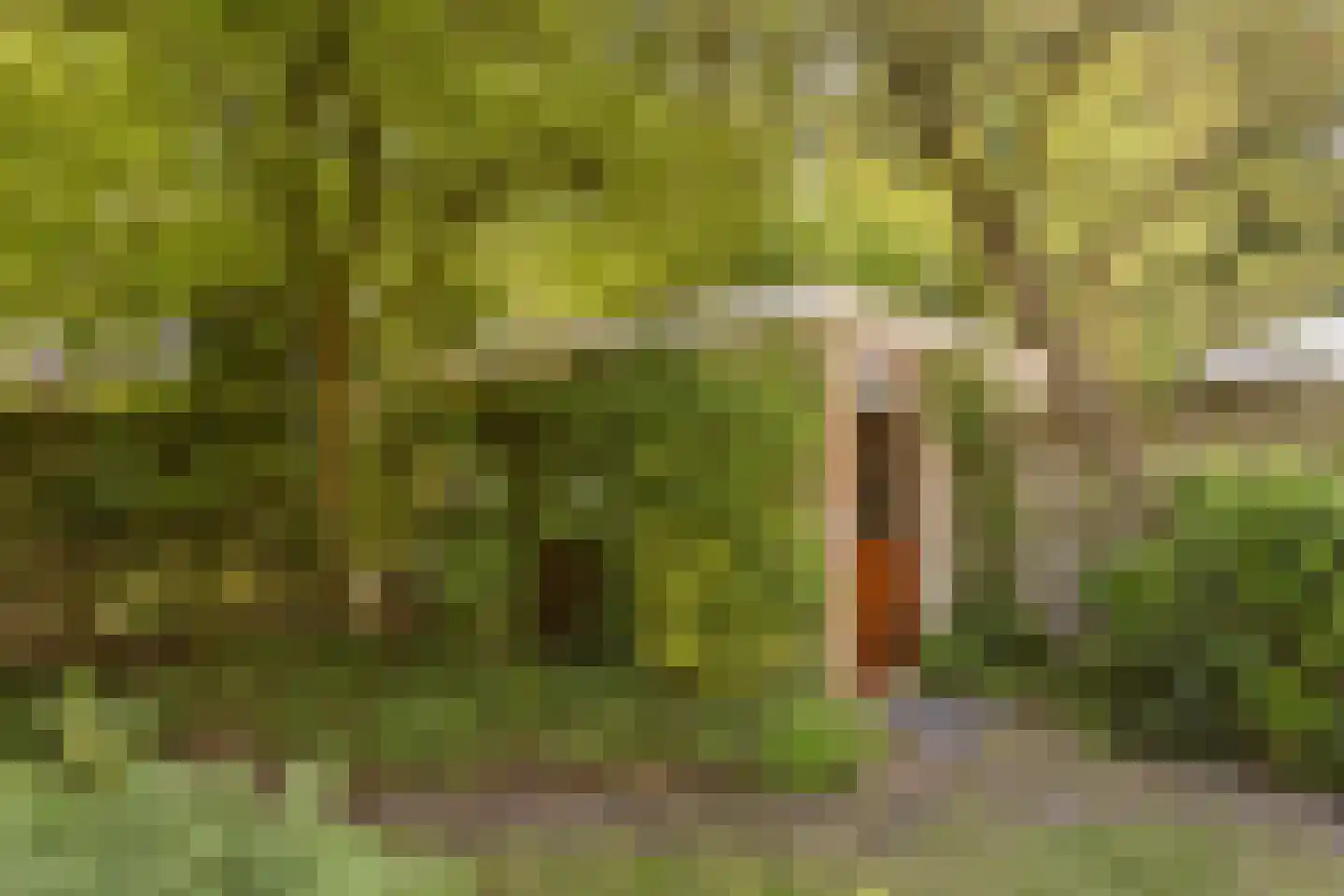 Lodesteijnstraat 25 Wassenaar thumbnail 13
