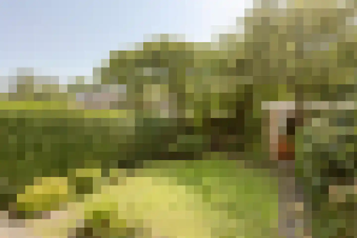 Lodesteijnstraat 25 Wassenaar thumbnail 13