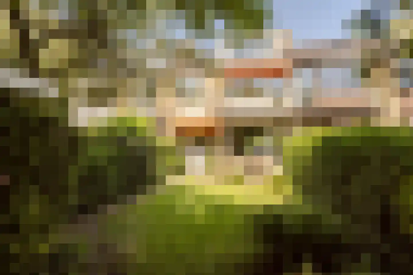 Lodesteijnstraat 25 Wassenaar thumbnail 15