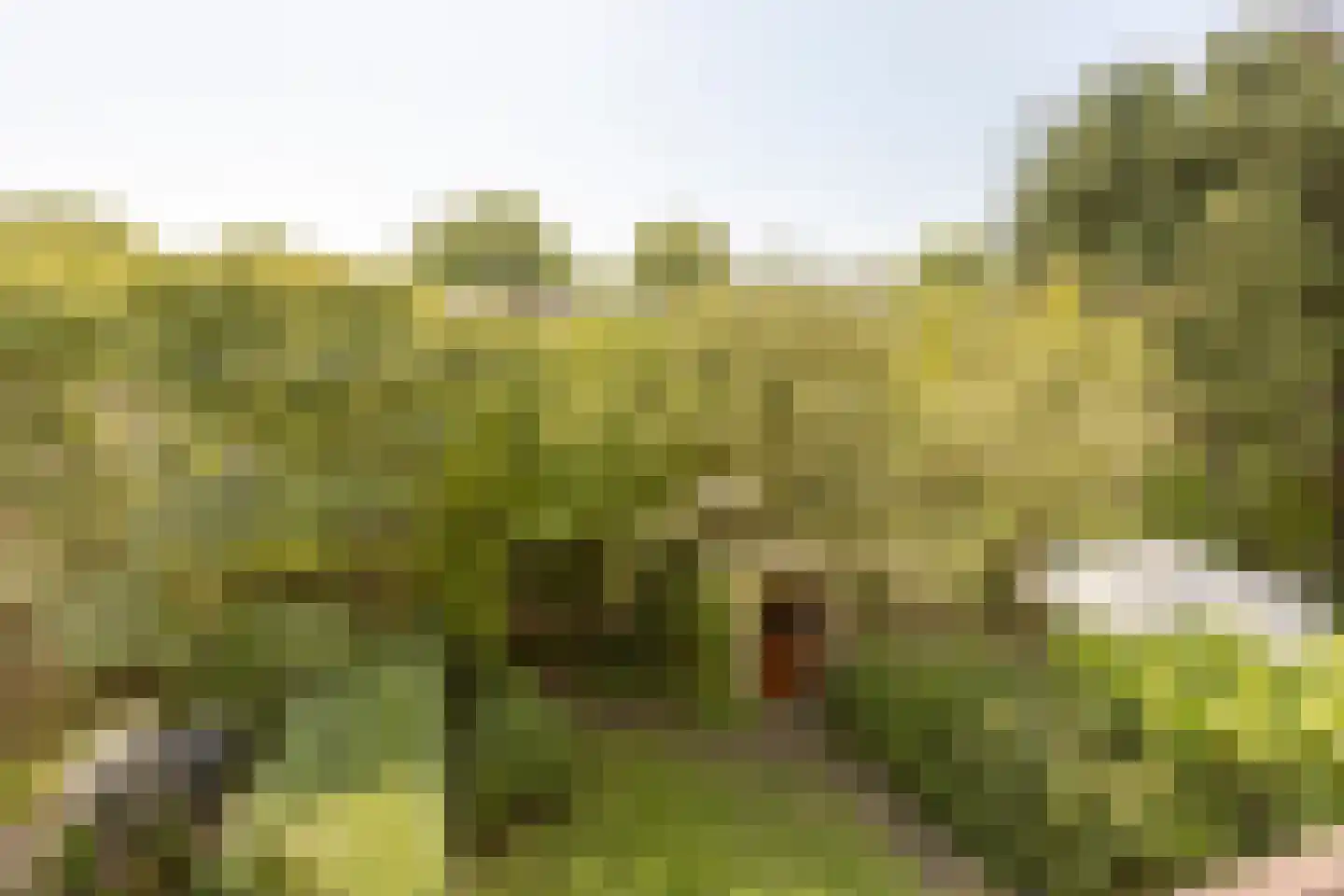 Lodesteijnstraat 25 Wassenaar thumbnail 21