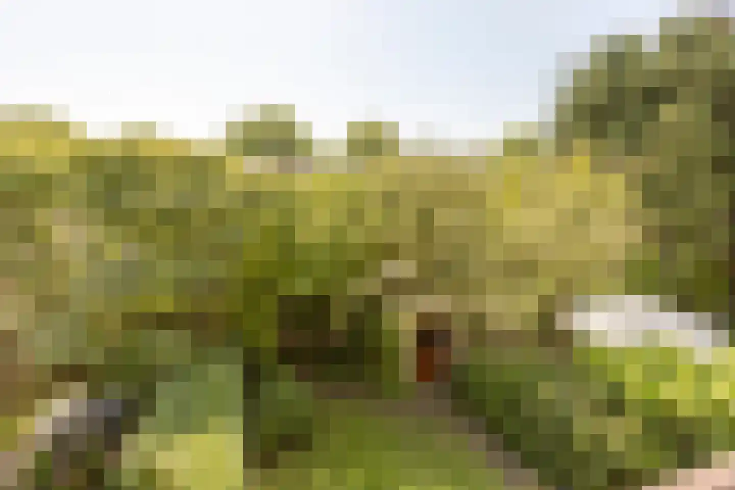 Lodesteijnstraat 25 Wassenaar thumbnail 22
