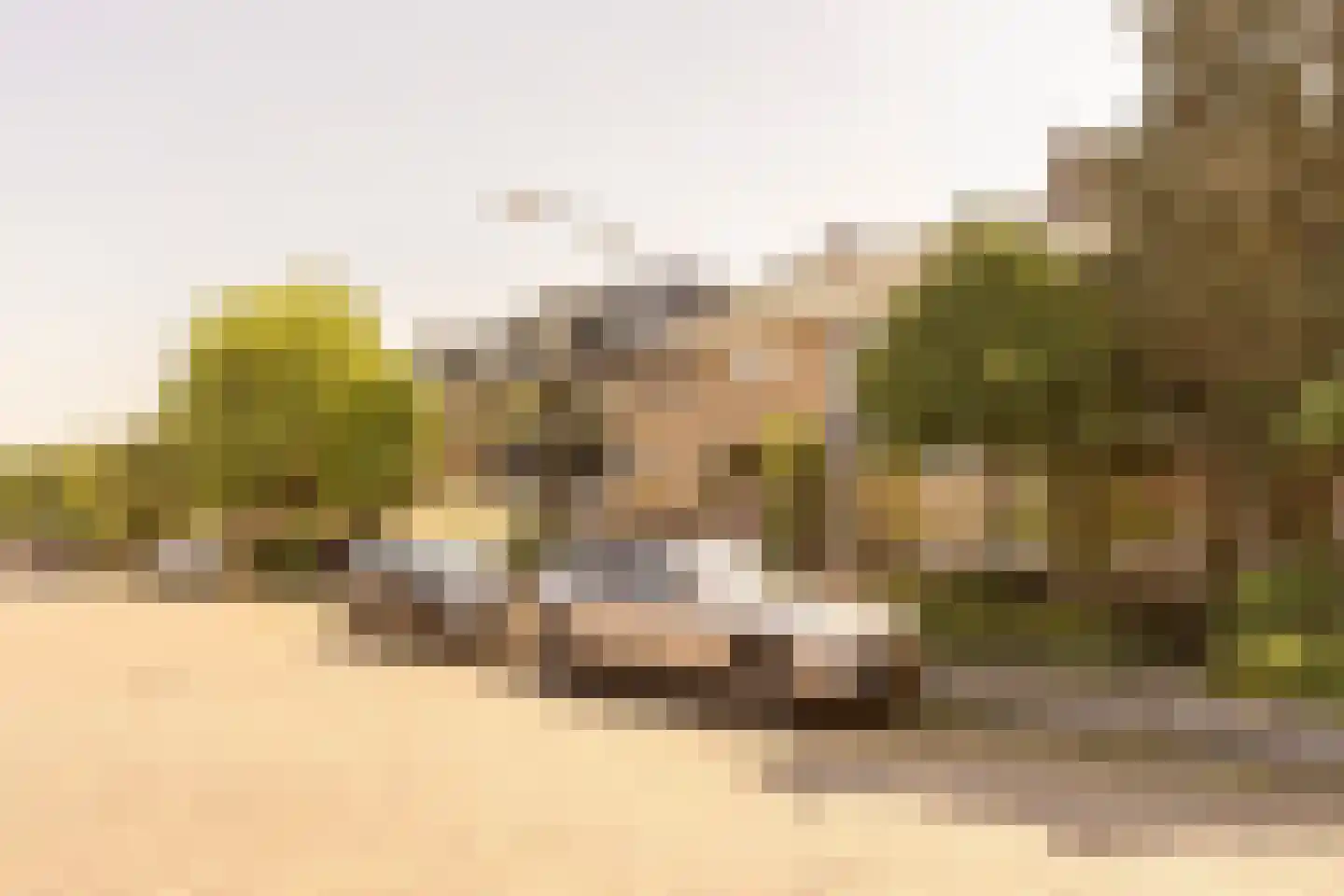 Lodesteijnstraat 25 Wassenaar thumbnail 34
