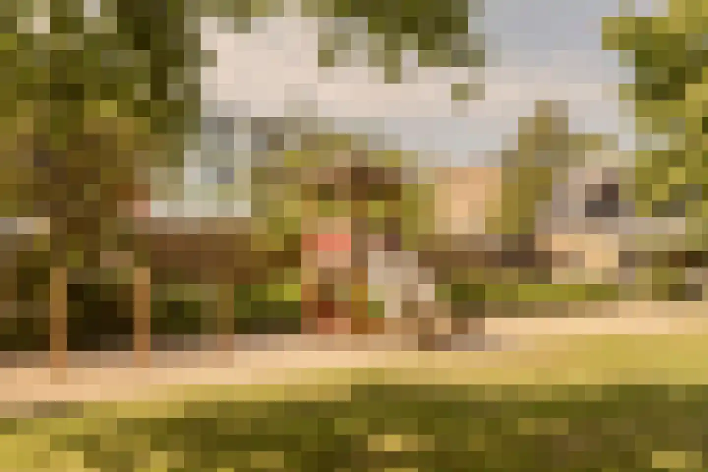 Lodesteijnstraat 25 Wassenaar thumbnail 35