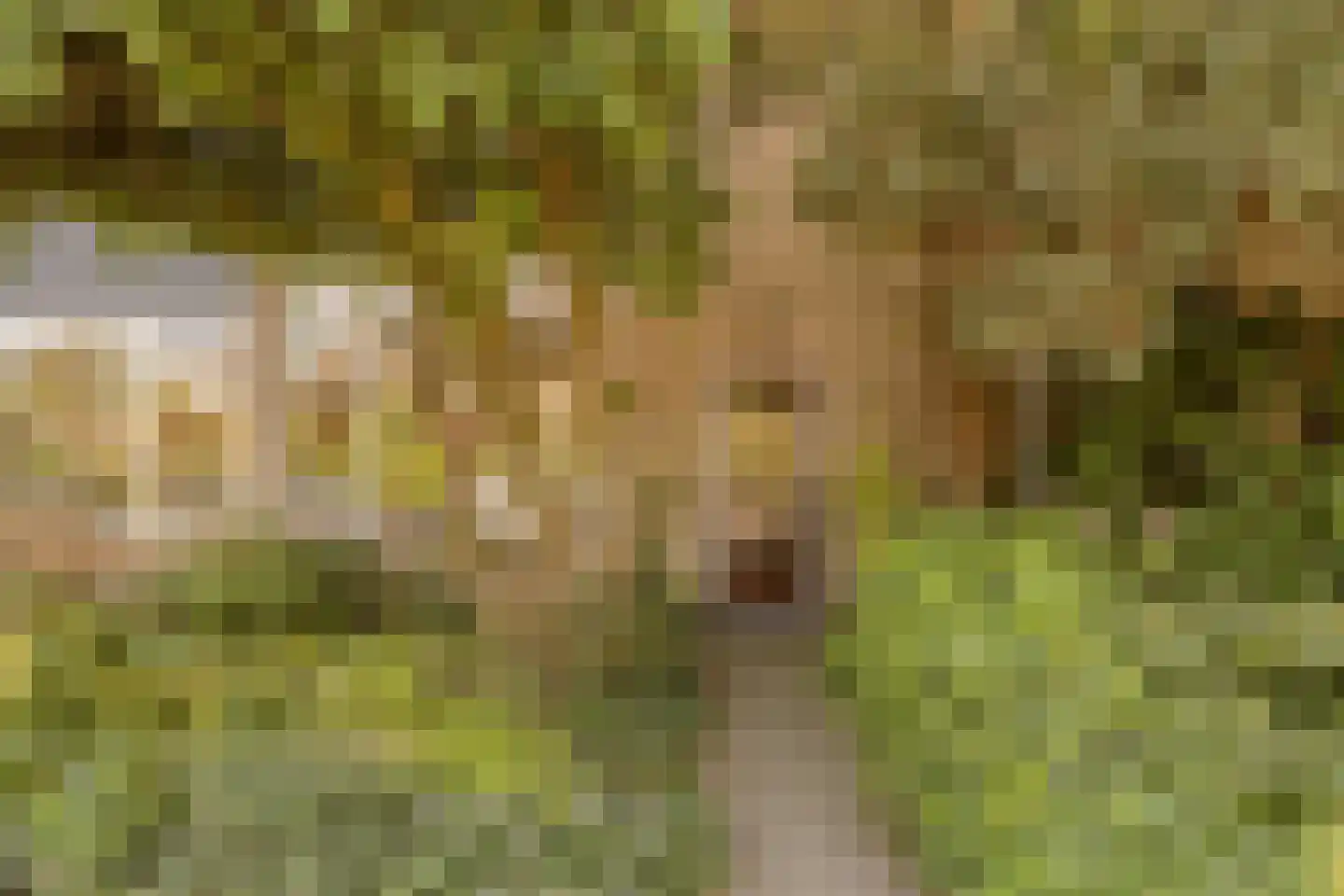Lodesteijnstraat 25 Wassenaar thumbnail 4